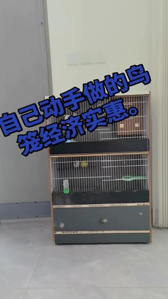 自己用废料做的鸟笼还行吧。