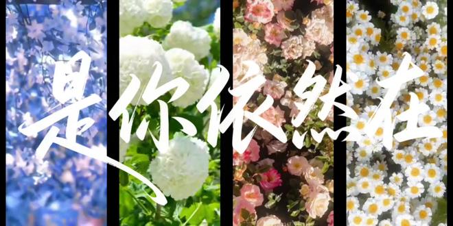 姜添添 我好想好想好想你啊@𝑇.姜添ᴶᵀ @天凌凌 我们一直在等你接我们回家
想了很久 还是剪了一小部分下播前的碎碎念
『是你依然在』这首歌每次听每次都想流泪
#听潮阁姜添 #姜添二创 #小蘑菇姜添添 #添添开心