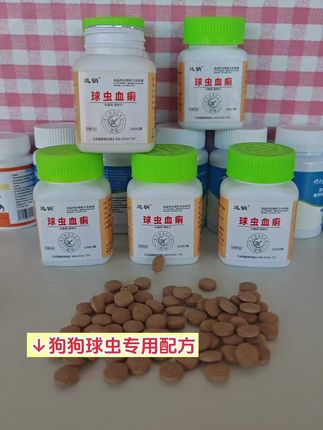 #养狗经验分享 #萌宠出道计划 #狗狗球虫#养狗人#养狗小知识