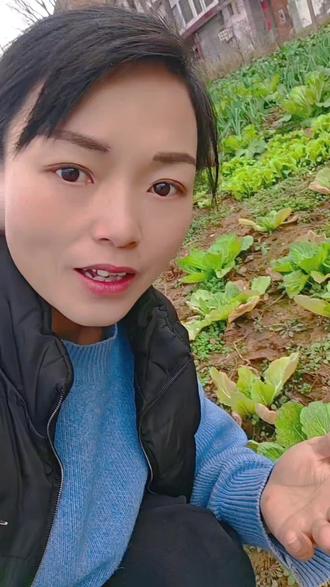 #热门 你的家乡有这种植物吗?你们叫它什么名字?附地菜。别名,马蹄菜,黄瓜菜。营养美味价值高是一味药食同源的植物,吃的方法有很多种,可以焯水之后凉拌也可以和鸡蛋一起炒着吃,做汤也不错哟。如果在野外遇到了千万不要错过。#大自然的馈赠 #草本植物