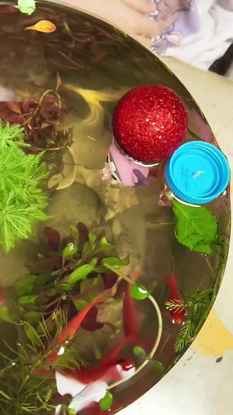 自己做个好玩的鱼缸漂浮玩具,我的小鱼又有新的小伙伴了!#我的日常生活 #手工 #手工diy #亲子互动 #小鱼