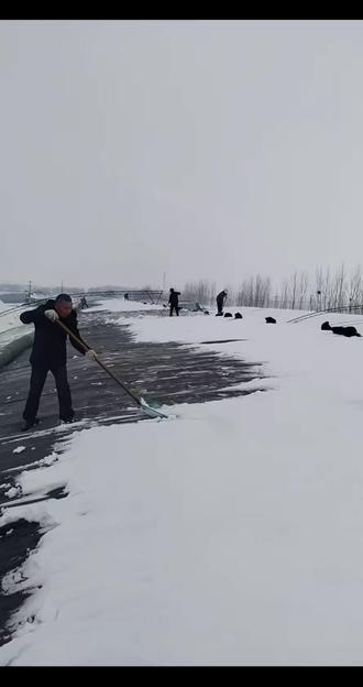 一场大雪和持续阴天给大棚人造成很大的影响。加油吧棚友们#下雪了 #大棚 #除雪 #西瓜#乡村振兴