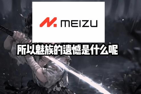 所以魅族的遗憾是什么#魅族#拍机堂 #性价比