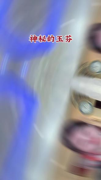 全网唱玉芬,玉芬在这呢……#玉芬#对口型热门歌曲#热门音乐#抖音热歌