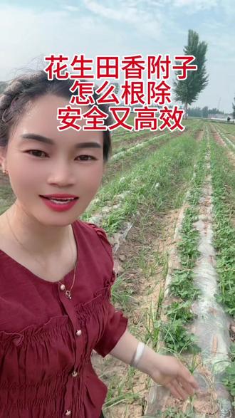 花生田香附子怎么彻底根除?既安全又高效?#花生#香附子#氯酯磺草胺#美丽农资