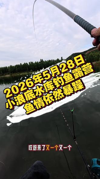 2026年5月28日 小浪底鱼情依然暴躁#2026抖来钓鱼 #钓鱼 #狙鲫手饵料 #钓鱼鱼情预报 #小浪底