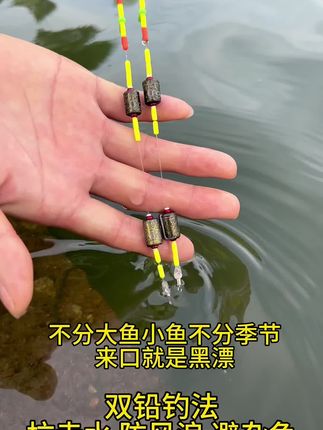 更好用的双铅钓法,抗走水 防风浪 避杂鱼!放大信号给口就是打黑漂,更灵敏! #钓鱼 #双铅钓法 #双铅线组#钓鱼人就是这么疯狂 #钓鱼技巧 @DOU+小助手