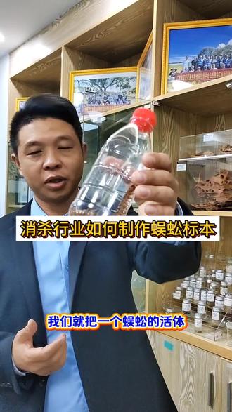 消杀行业如何制作昆虫标本?#涨知识 #消杀 #消杀技术培训 #四害消杀培训
