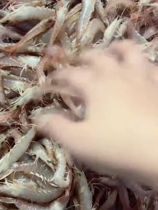 鹰爪虾#强烈推荐 #快来一起尝个鲜 #舌尖上的味道