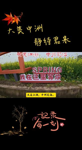 大美江湖,中州花海。
阳春三月,岳阳县中洲乡万亩油菜花海如约盛放,从田野铺向天际,如金色海浪,层层翻涌,气势磅礴,震撼人心。高空俯瞰,阡陌纵横,村舍错落,金黄与翠绿交织,绘就一幅壮美的巴陵春日画卷。风过处,花香四溢,蜂鸣蝶舞,生机盎然。凌云古塔静静守望,见证这片土地的岁岁繁华。这是中洲最治愈的春天,是洞庭湖畔最耀眼的金色海洋。踏青、赏花、拍照、寻趣,中洲乡以满城春色,邀您共赏人间美好。#油菜花海织就田园画卷 #油菜花 #赏花季 #田野秋千 #油菜花打卡