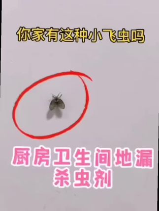 一瓶就可以搞定家庭多种害虫!就是这个杀虫喷射剂~无论是蟑螂,蚂蚁,小飞蛾,跳蚤还是螨虫床虱等多他害虫都可以轻松搞定~#杀虫剂#除余虫#害虫#灭虫小妙招#蟑螂@巨量干川