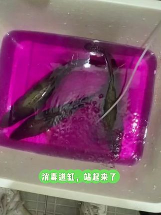 #记录生活 #钓鱼 同款铅头钩链接