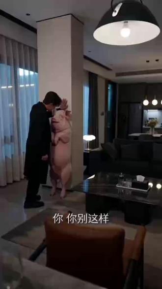 所有人,保持内裤干燥,虽然很难,但这是命令 #霸道总裁 #抽象 #神奇动物在抖音 #ai #爱情故事