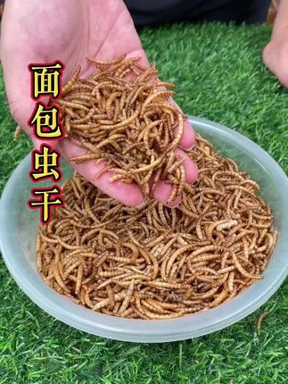 黄金今日金价 #财经 #巴菲特 #股市 #黄金