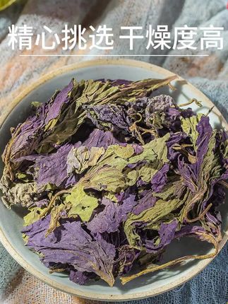 紫苏叶四川巴中农村坡上采的紫苏叶当季新货不熏硫煮水泡水煮鸡蛋 #紫苏叶 #紫苏叶推荐 #紫苏叶干 #紫苏叶煮水 #紫苏叶泡水