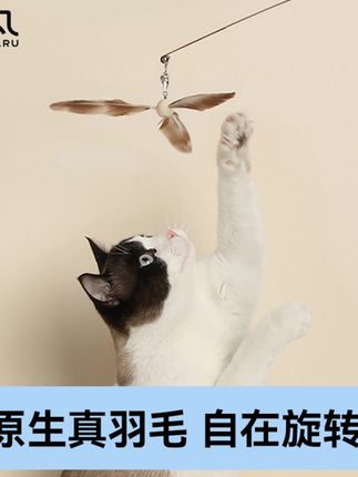 福丸逗猫棒猫咪玩具旋转竹蜻蜓钢丝原生羽毛猫咪#新手养猫 #小馋猫 #萌宠好物 #逗猫棒 #猫玩具