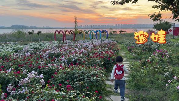 骑电动车遛娃—明湖 太浪漫啦,花开的正盛,快去打卡吧#日常遛娃系列 #明湖 #赏花 #宝宝的童年很短要用手机记录