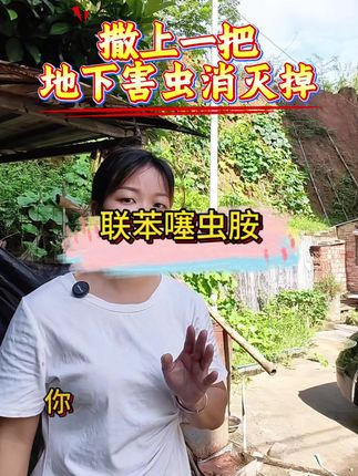 #三农 #我的农村生活 #灭虫害#农业种植