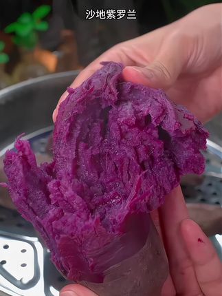 沙地紫罗兰紫薯 软糯香甜而且无丝,蒸着吃或者烤着吃都很香!#紫薯 #红薯的亿百种吃法 #红薯 #强烈推荐 @抖加🔥上热门🔥dou+🔥热点宝