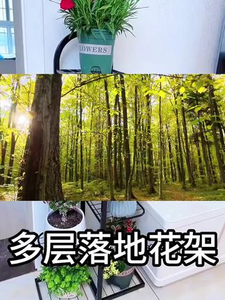 养花新手必备,这个立式花架稳固又轻便,随便一摆都像精心布置过