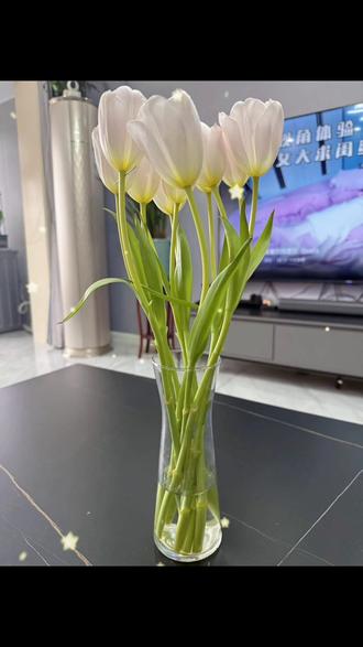 郁金香垂头挨上一针就好了👍
#抖音小妙招治郁金香 #容嬷嬷上线救郁金香#郁金香垂头 #抖音小妙招治郁金香