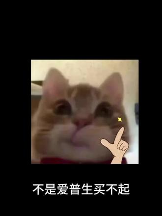 网上风很大的智萤p2投影仪测评
#追剧#智萤投影仪#投影仪#投影仪推荐#年货节