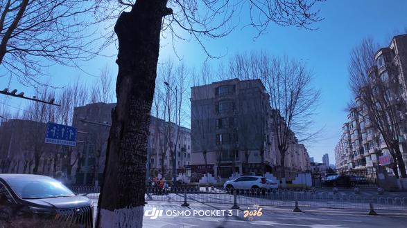 沈阳大街今犹在 不见当年整活人#刀哥 #沈阳大街