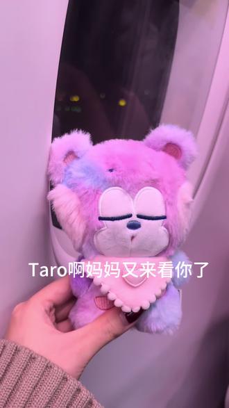 我把一切交给命运,期待我们再次相遇#将太郎 #shotaro #拉椅子澳门 #riize