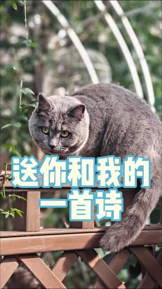 泰戈尔《触摸自己》#小动物们能有多治愈 #泰戈尔