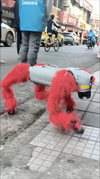 第一次看到机器狗,机器人!