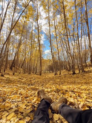 “别计划了 被你艾特的人 要陪你去阿尔山玩”#我的阿尔山