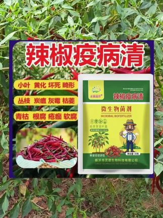 辣椒疫病清