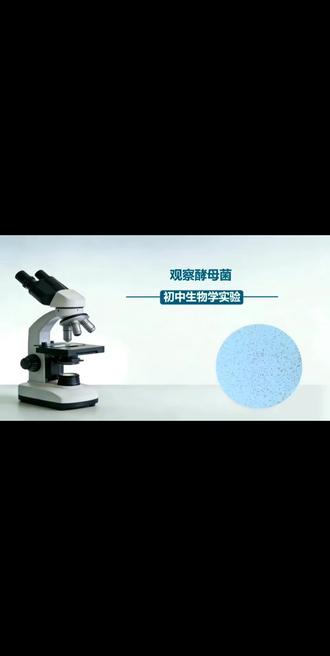 兰州初中生物实验~观察酵母菌 #初中生物实验
#观察酵母菌