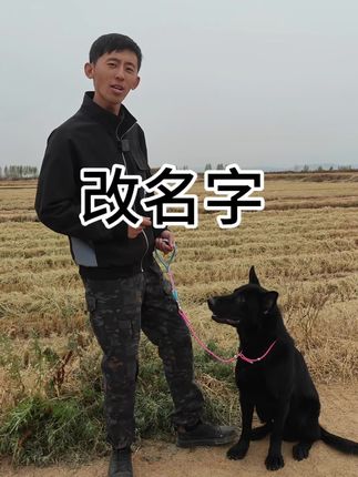学会这一招 再也不担心 狗子不知道自己叫什么名字#训犬36式#佳木斯训犬 #小乐训犬