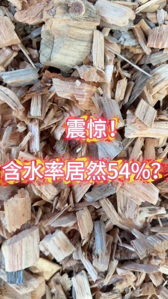 小阿妹慌了!有人说咱木片含水率54%以上,赶紧自己先测一下!#变废为宝 #纸厂原料供应