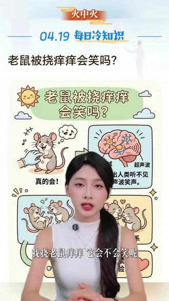 老鼠被挠痒痒会笑吗? #每日冷知识 #冷知识 #科普