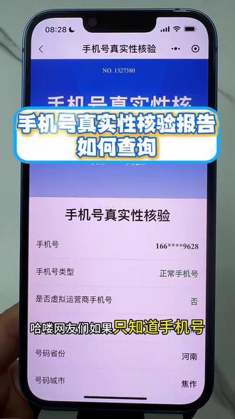 手机号真实性核验报告如何快速查询?#手机号 #实名认证 #一致性验证 #实名查询 #123验机