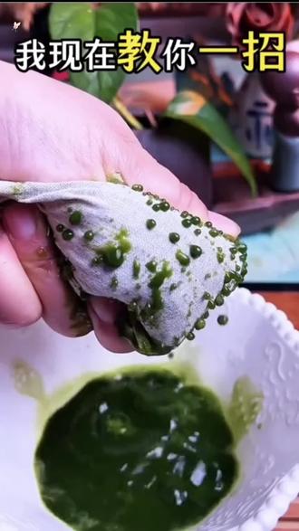 一定要用马齿苋去搽脸#马齿苋#纯天然无添加 #天然草本 #护肤