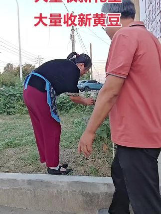 感谢抖音正能量的大平台为老百姓服务#借抖音平台告诉农户好消息,高价收购杂粮🙏🙏