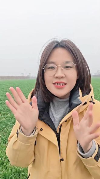 畅丰农资 春天雨刷水勤 田麦田湿度大,土传病害如何防控 根腐纹枯 茎基腐枯白穗预防#隆尧#内丘#巨鹿#宁晋#任泽区