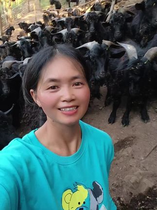 羊羊们听的这么认真的。弄得我都不好意思