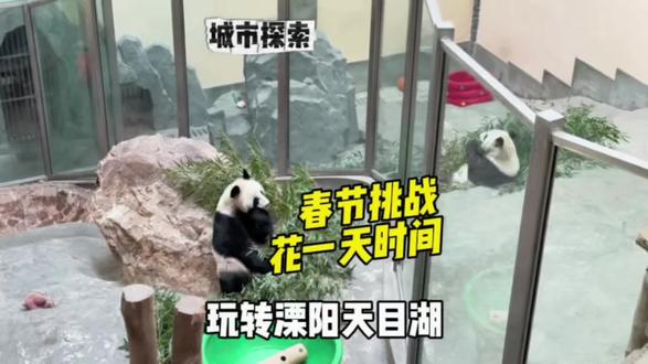 春节挑战用一天时间 玩转一个小众城市 溧阳天目湖 我来啦!#来天目湖过山水福运年#今年常州春节C位在天目湖#天目湖旅游度假区#天目湖南山竹海#天目湖山水园