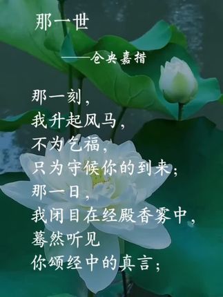 转山转水转佛塔,不为来世,只为今生与你途中相见 #仓央嘉措 #好书分享 #智慧人生#诗词 #转山转水转佛塔