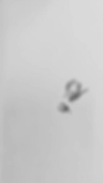 简单画一帧无惨
#鬼舞辻无惨