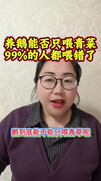 #鹅#养鹅#养鹅人#养鹅小妙招#养鹅知识分享@抖加小助手