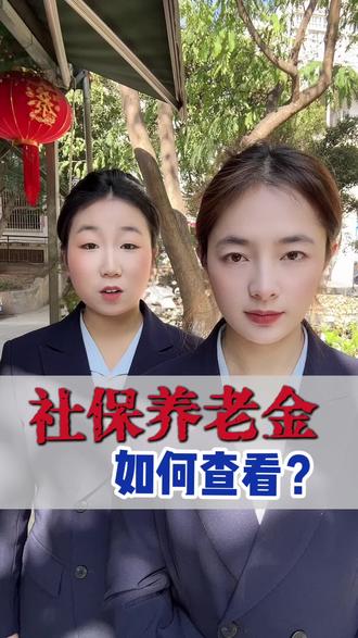 自己在手机上就能查询社保的相关信息!#社保 #养老金 #五险一金 #知识分享 #西昌婷姐