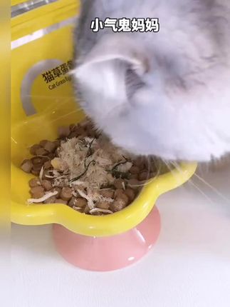 北兜兜猫草蛋黄肉松拌饭神器吃了长肉还排毛#新手养猫 #排毛球 #猫咪排毛 #喂猫 #超便宜聚划算