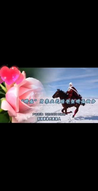 娇龙花开,风骨永存,天山的那抹红,从未走远❤️