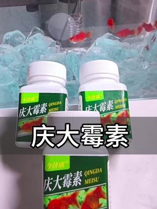 #庆大霉素#养鱼用品#观赏鱼 #水族#养鱼日记