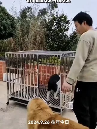 #不锈钢狗笼子#折叠狗笼#犬笼#不锈钢折叠犬笼